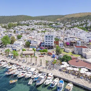 https://gulet-otel.aegeanhotels.net
